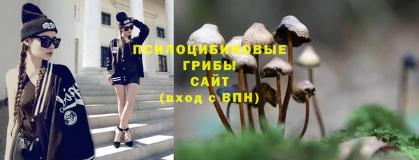 бошки Абдулино